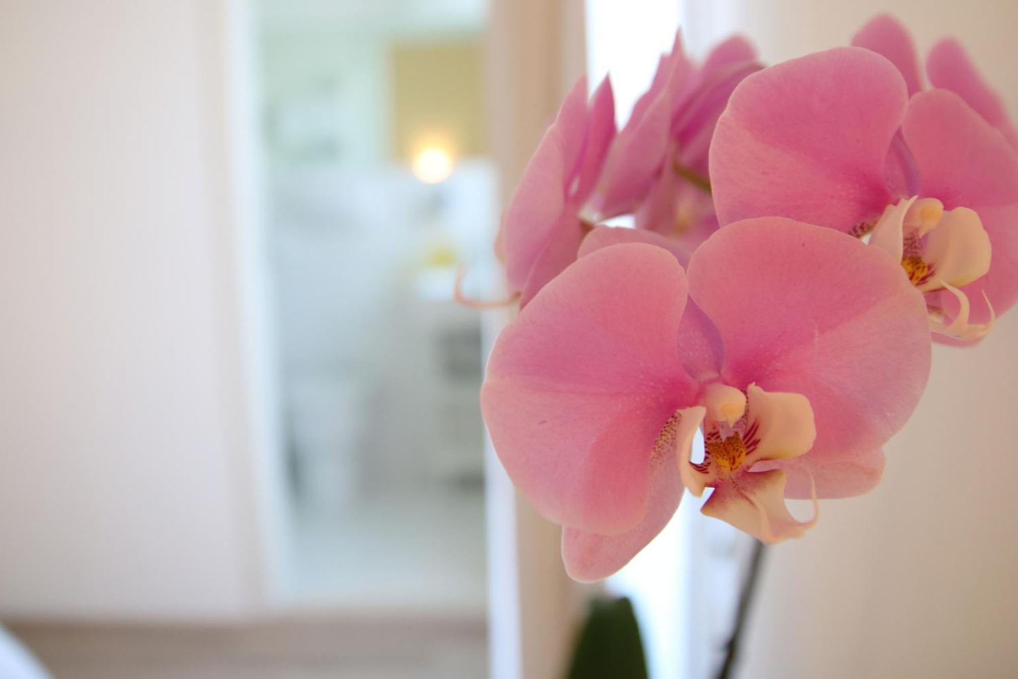 Maree Hotel Cesenatico Ngoại thất bức ảnh